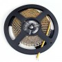 LED Strip 24V CCT 19.2W/m 2500-6000K