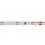 LED Strip 4.8W/m, 30/m 3528